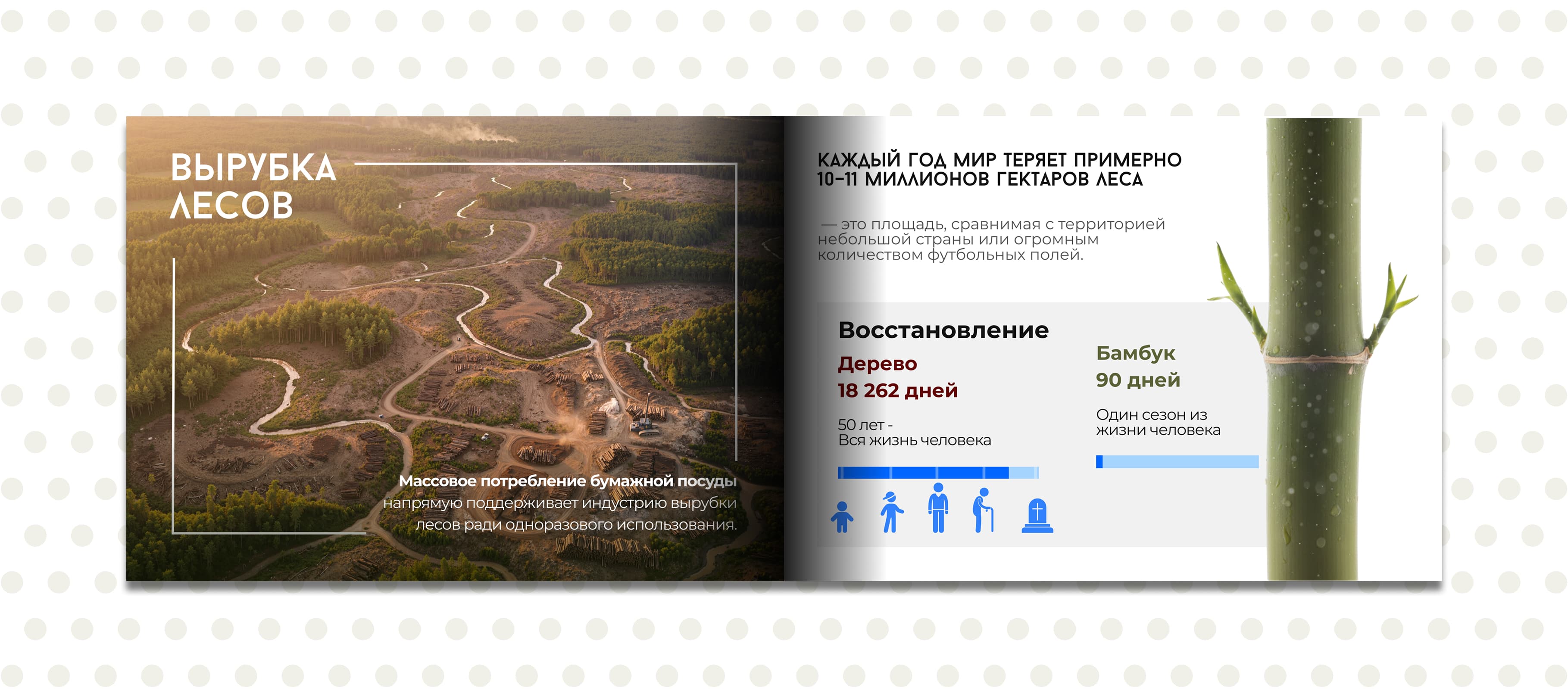 Журнал для бренда эко посуды